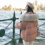 Clacive  Women's Fur Collar Down Jackets  New Fashion Zipper Short Hooded Parkas Coat Winter Thick Warm Casual Jacket Female